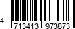 4713413973873