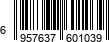 6957637601039