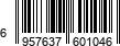 6957637601046