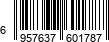 6957637601787