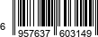 6957637603149