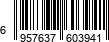 6957637603941