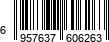 6957637606263