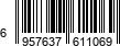 6957637611069