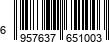 6957637651003