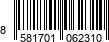 8581701062310