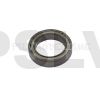 PV1686 Bearing D25xD37xW7